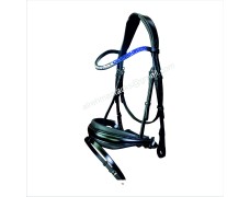 Leather Bridle